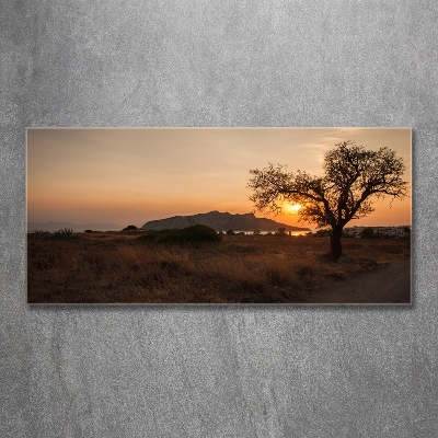 Tableau sur verre Coucher de soleil