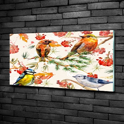 Tableau photo sur verre Conifères et oiseaux