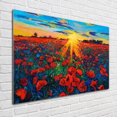 Tableau photo sur verre Champ de coquelicots