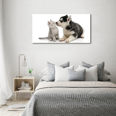 Tableau imprimé sur verre Chien et chat