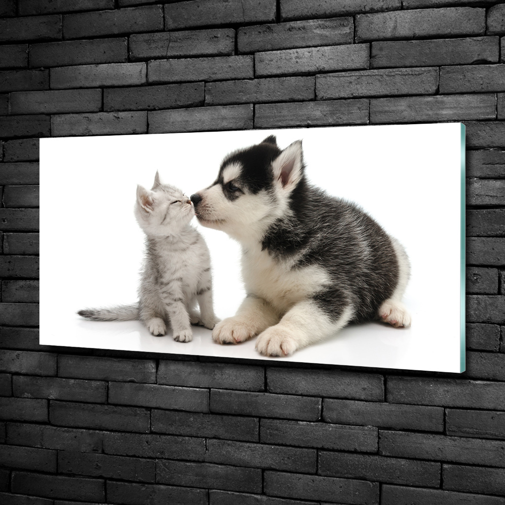 Tableau imprimé sur verre Chien et chat