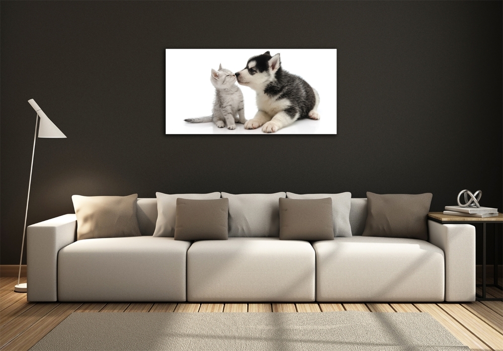 Tableau imprimé sur verre Chien et chat