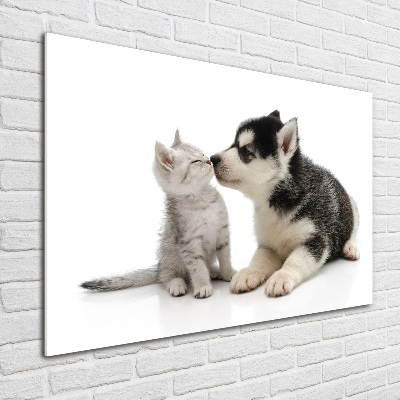 Tableau imprimé sur verre Chien et chat