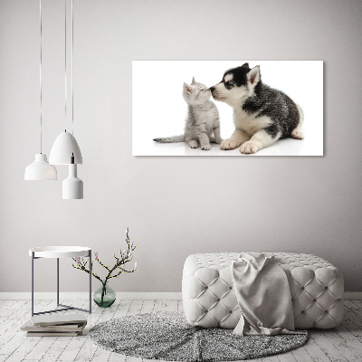 Tableau imprimé sur verre Chien et chat