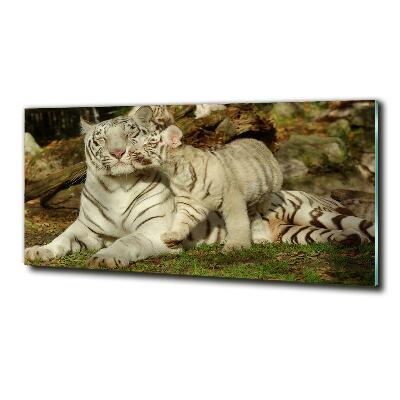 Tableau sur verre Tigres