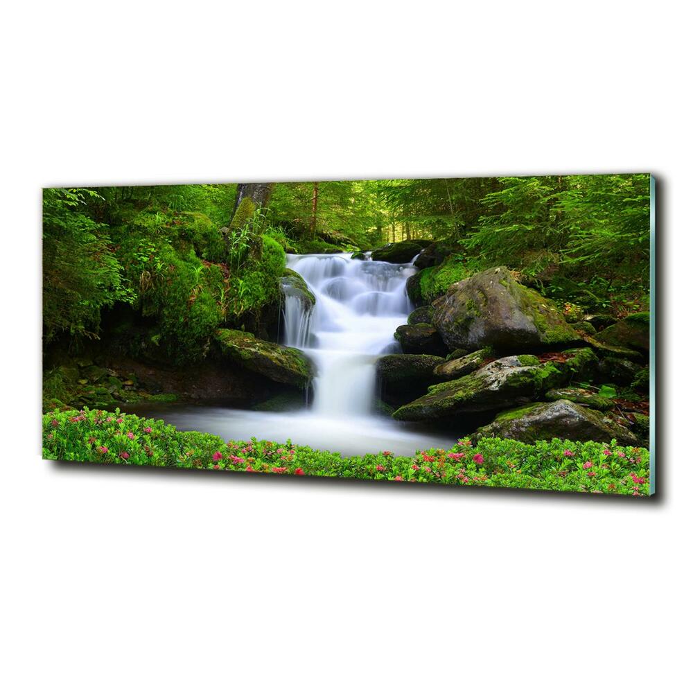 Tableau sur verre Chute d'eau dans la forêt