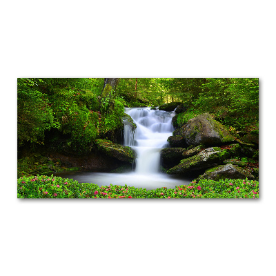 Tableau sur verre Chute d'eau dans la forêt