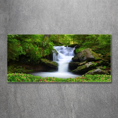 Tableau sur verre Chute d'eau dans la forêt