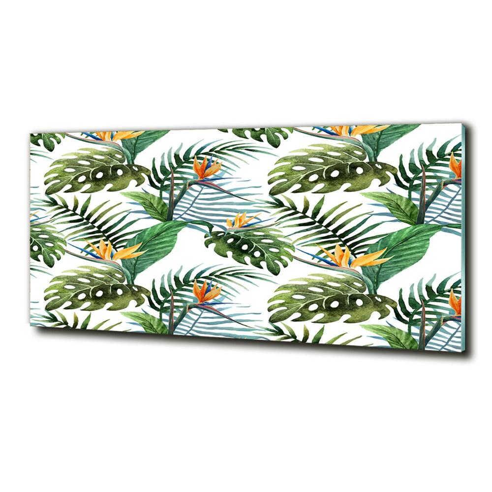 Tableau photo sur verre Feuilles de monstera exotique