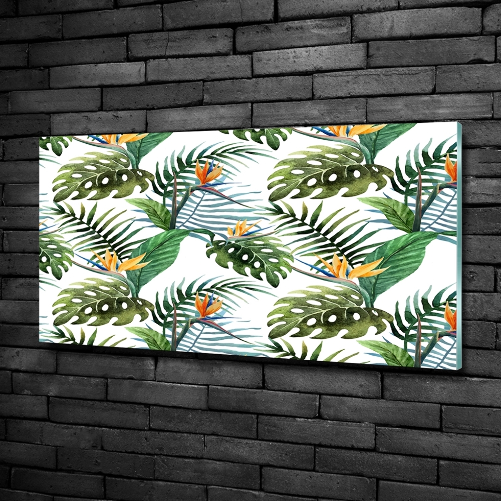 Tableau photo sur verre Feuilles de monstera exotique