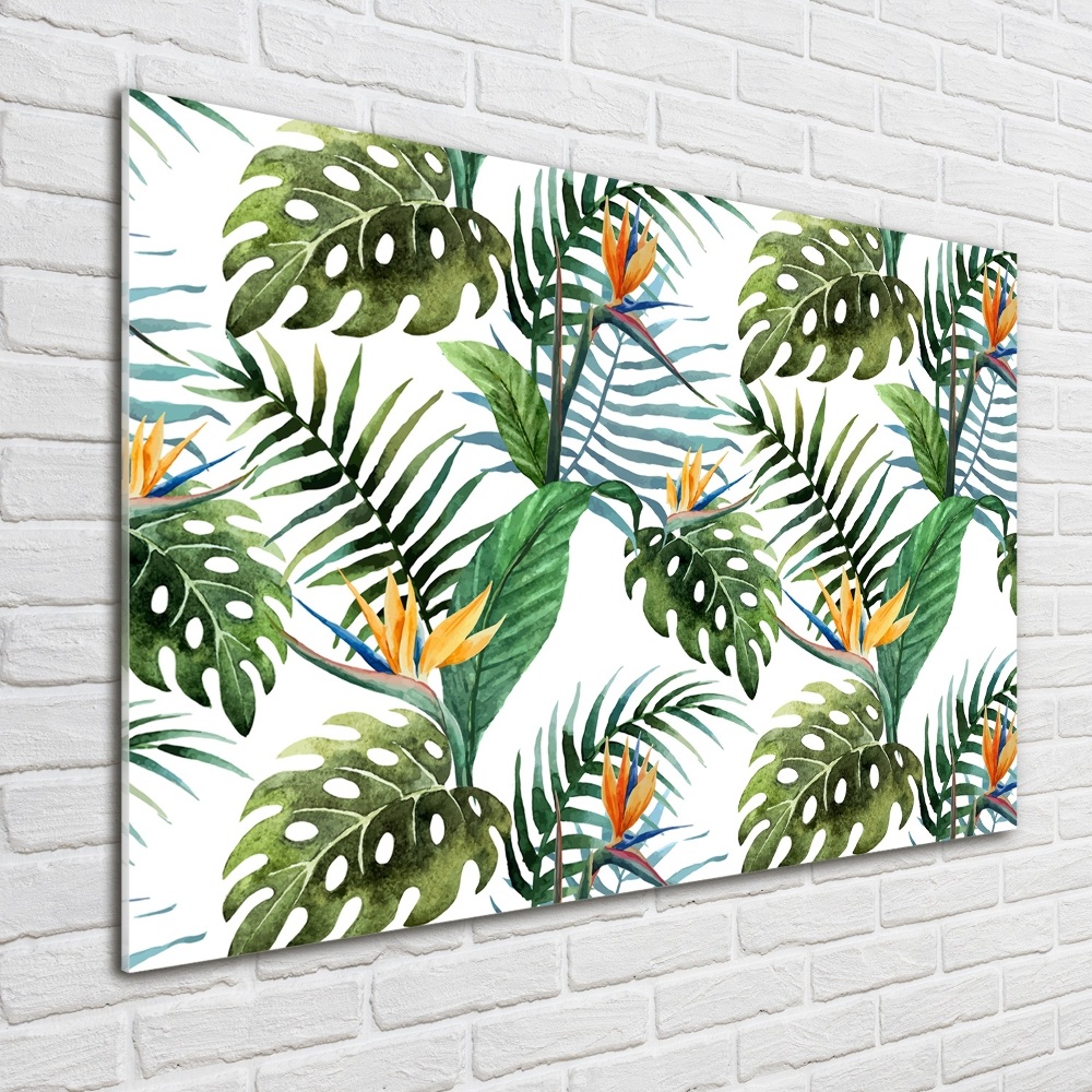 Tableau photo sur verre Feuilles de monstera exotique