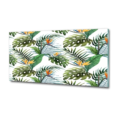 Tableau photo sur verre Feuilles de monstera exotique