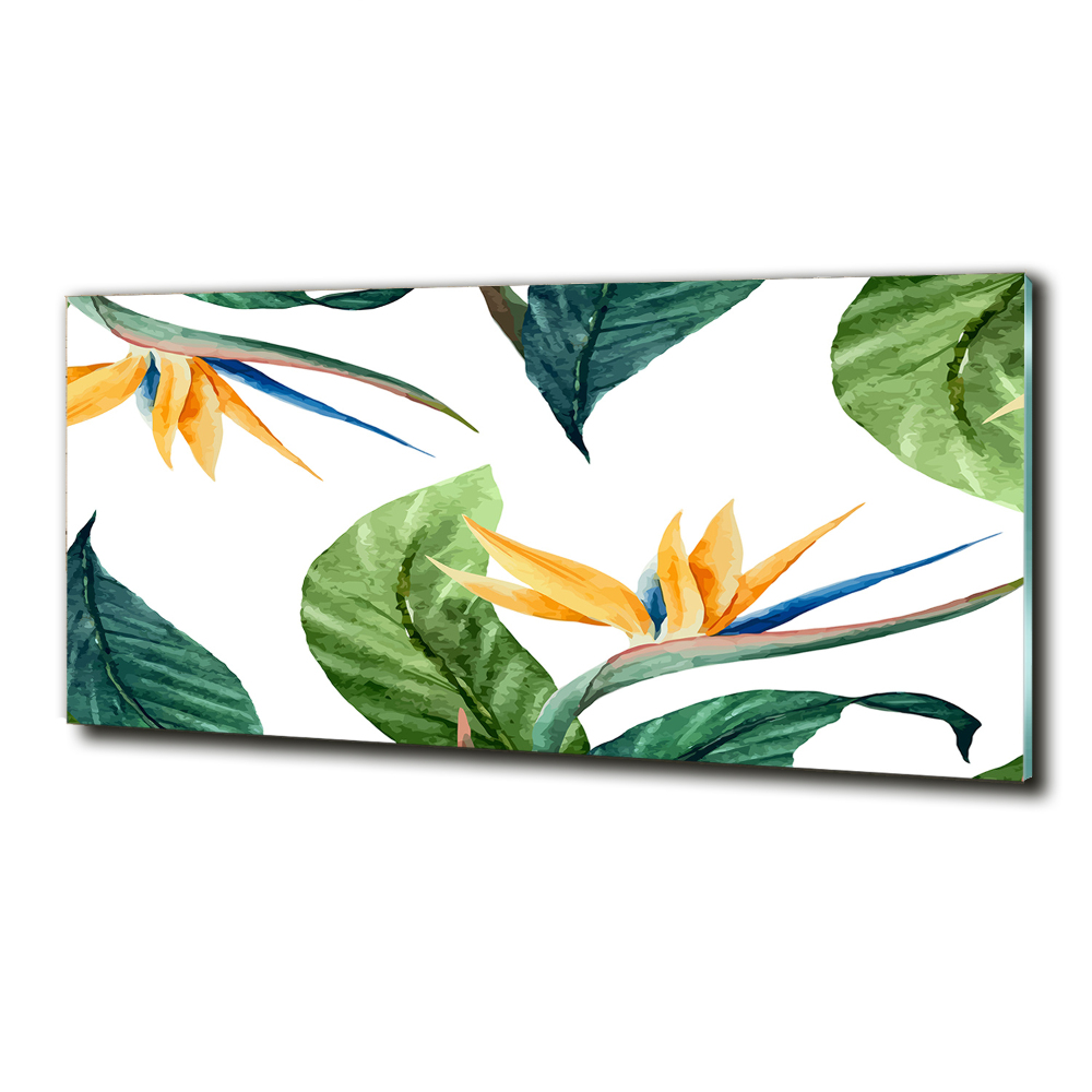 Tableau photo sur verre Les fleurs exotiques