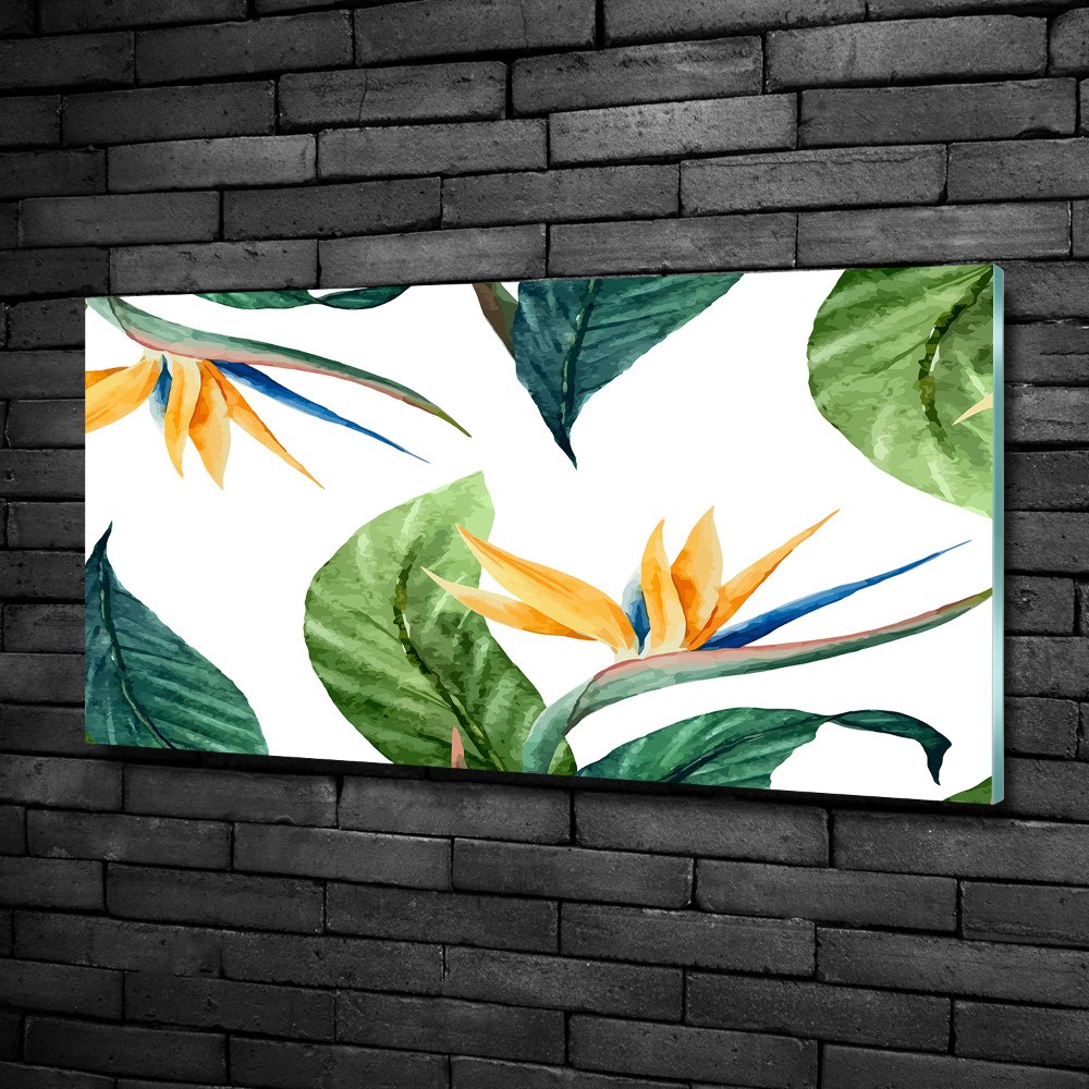 Tableau photo sur verre Les fleurs exotiques