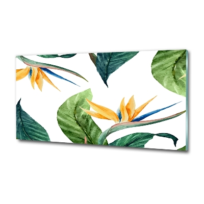 Tableau photo sur verre Les fleurs exotiques