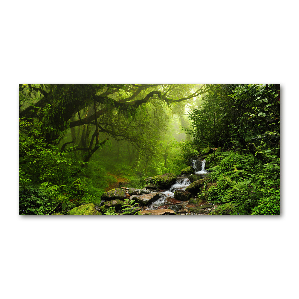 Tableau en verre Jungle au Népal