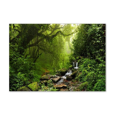 Tableau en verre Jungle au Népal