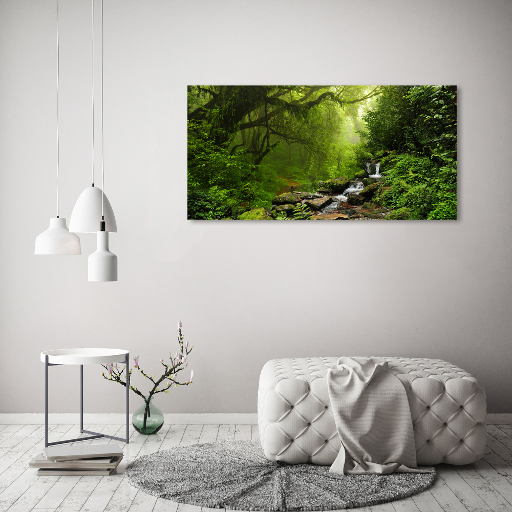 Tableau en verre Jungle au Népal