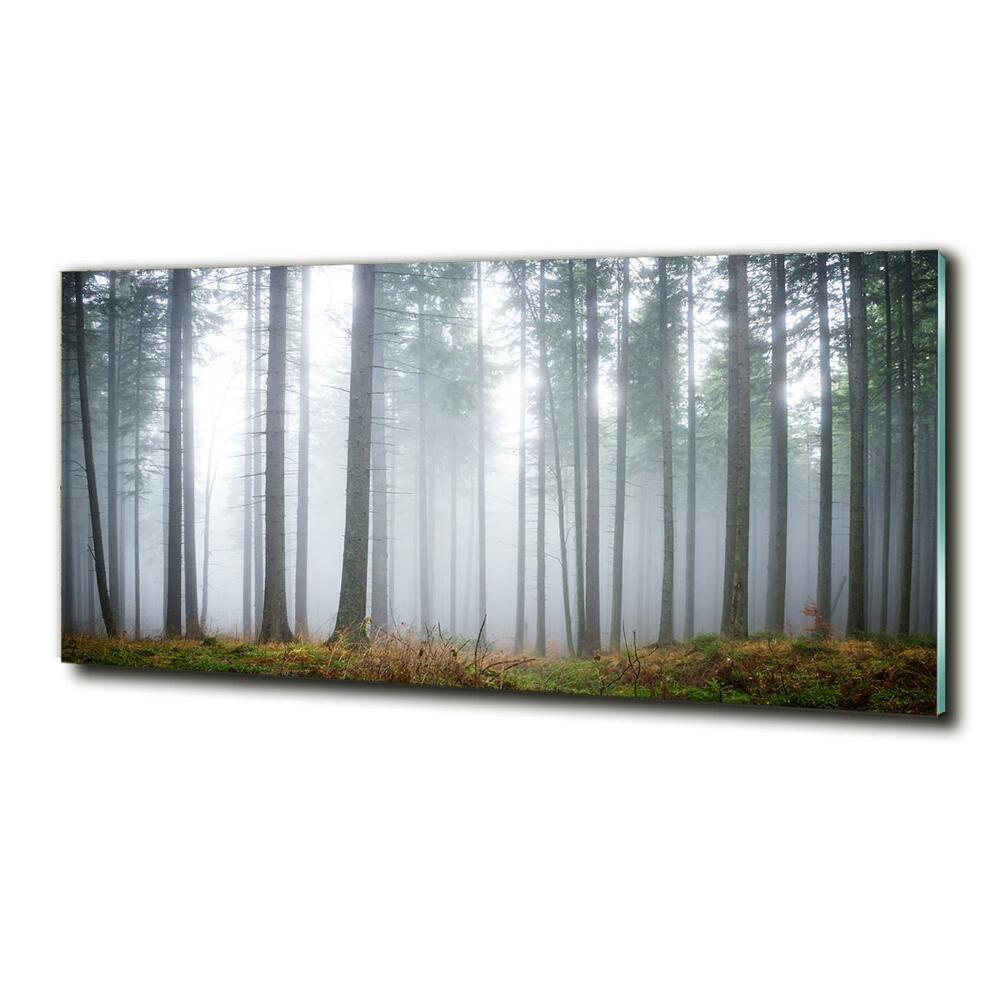 Tableau verre imprimé Brume dans la forêt