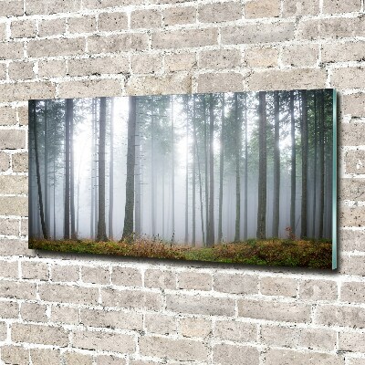 Tableau verre imprimé Brume dans la forêt