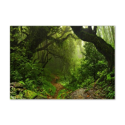 Tableau sur verre Jungle au Népal