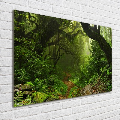 Tableau sur verre Jungle au Népal