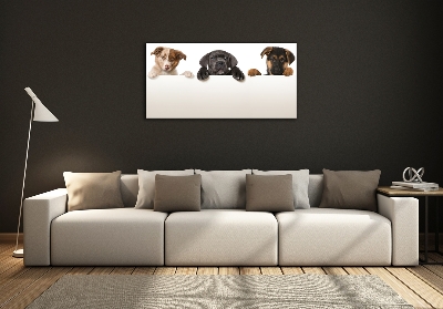 Tableau sur verre Trois chiots