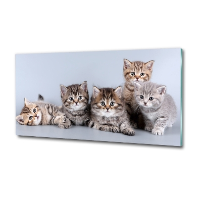 Tableau sur verre Cinq chats