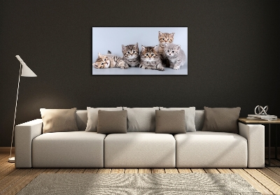 Tableau sur verre Cinq chats