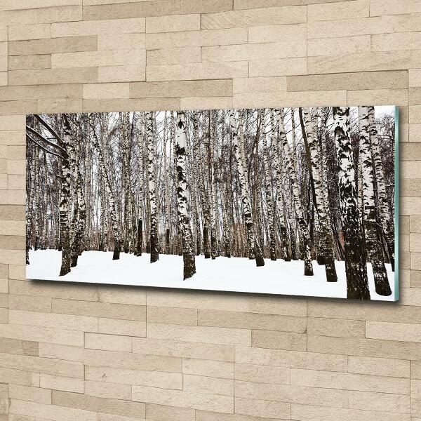 Tableau verre imprimé Bouleaux en hiver