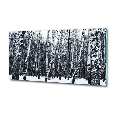 Tableau photo sur verre Bouleaux en hiver