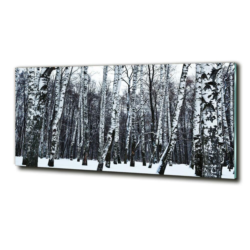 Tableau photo sur verre Bouleaux en hiver