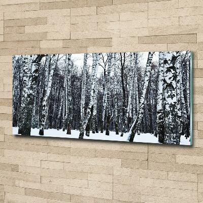 Tableau photo sur verre Bouleaux en hiver