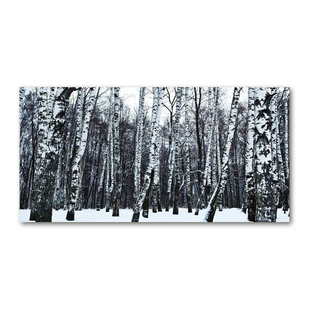 Tableau photo sur verre Bouleaux en hiver