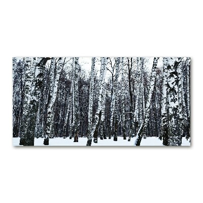 Tableau photo sur verre Bouleaux en hiver