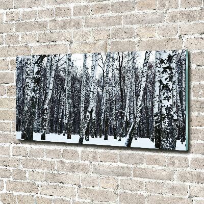 Tableau photo sur verre Bouleaux en hiver