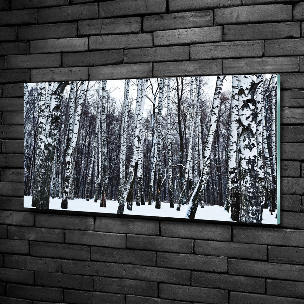 Tableau photo sur verre Bouleaux en hiver