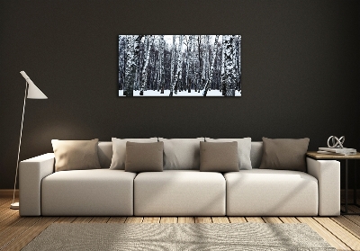 Tableau photo sur verre Bouleaux en hiver