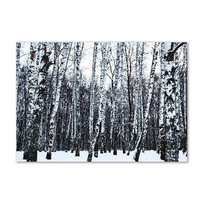 Tableau photo sur verre Bouleaux en hiver