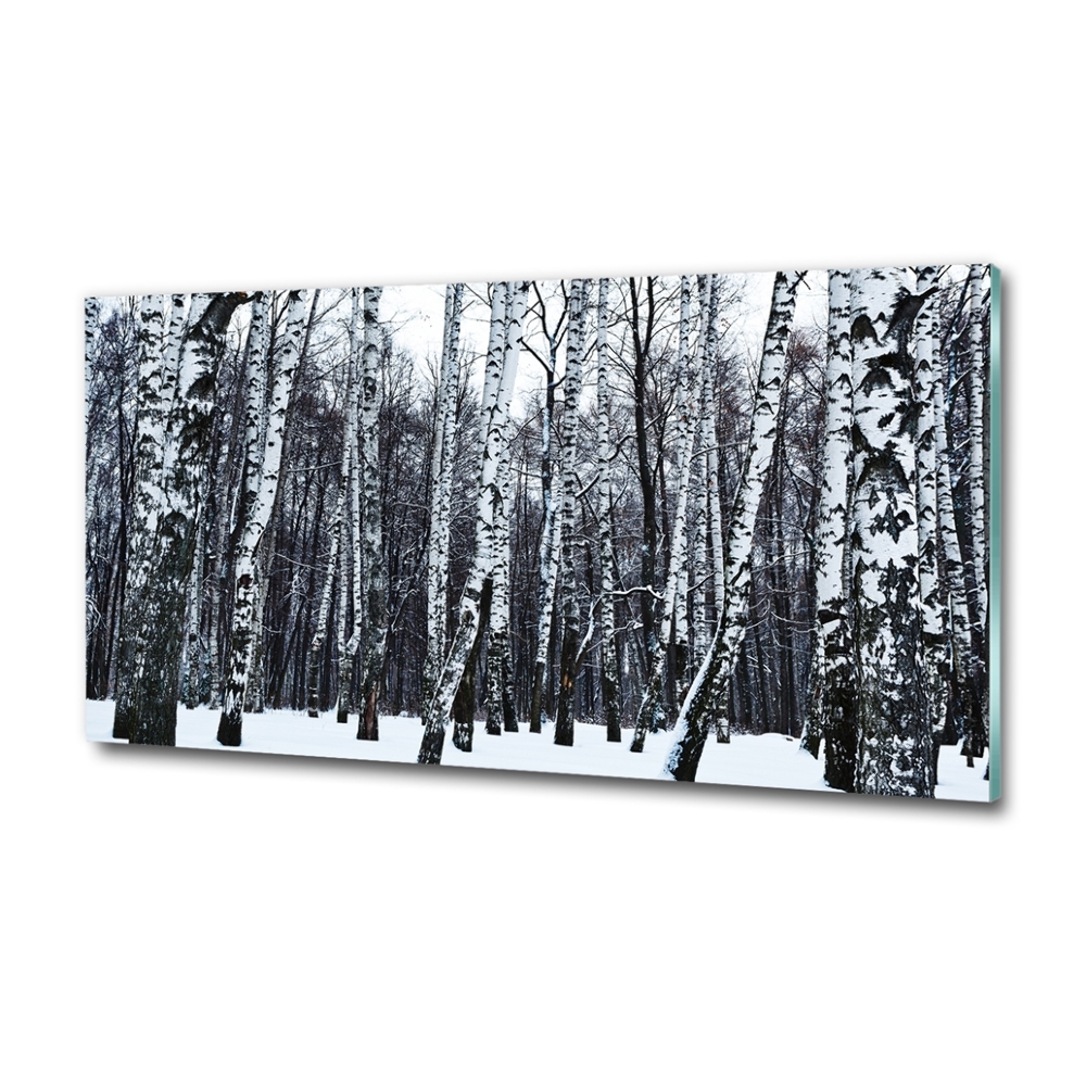 Tableau photo sur verre Bouleaux en hiver