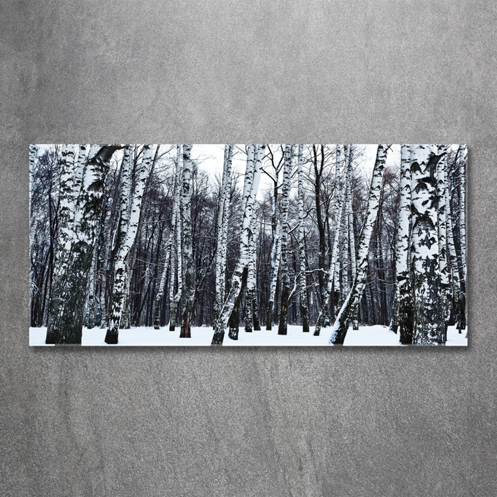 Tableau photo sur verre Bouleaux en hiver