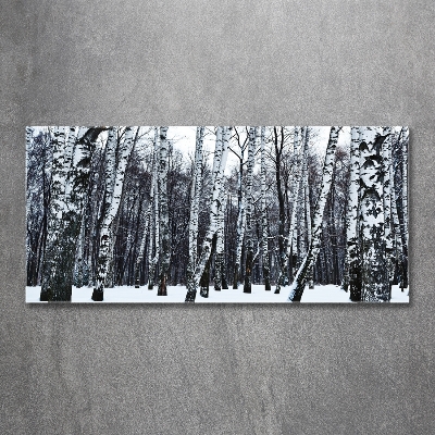 Tableau photo sur verre Bouleaux en hiver