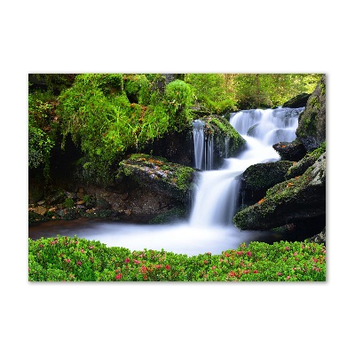 Tableau imprimé sur verre Chute d'eau dans la forêt