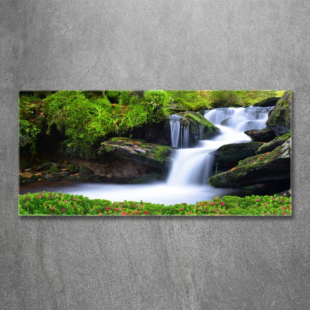 Tableau imprimé sur verre Chute d'eau dans la forêt