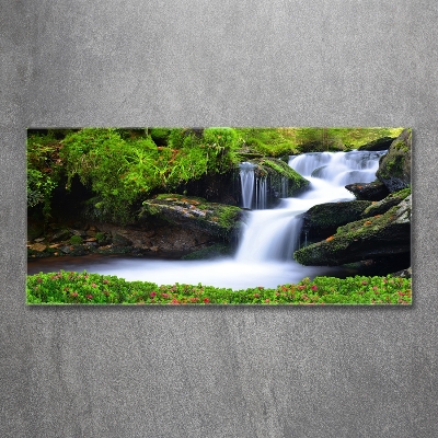 Tableau imprimé sur verre Chute d'eau dans la forêt