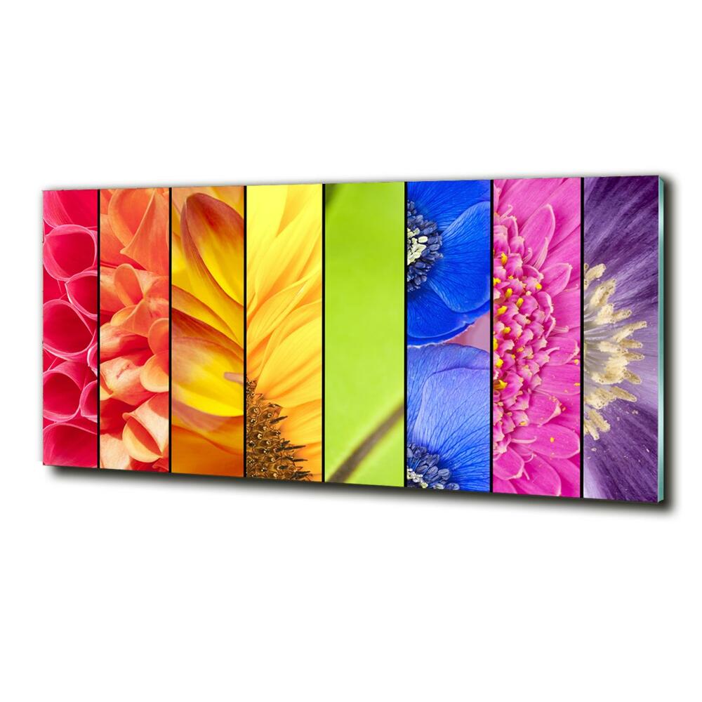 Tableau imprimé sur verre Fleurs colorées