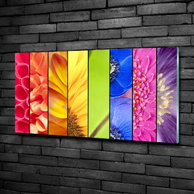 Tableau imprimé sur verre Fleurs colorées