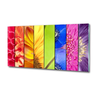 Tableau imprimé sur verre Fleurs colorées