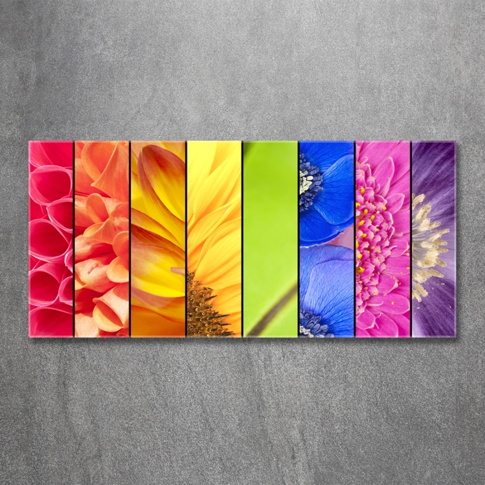 Tableau imprimé sur verre Fleurs colorées