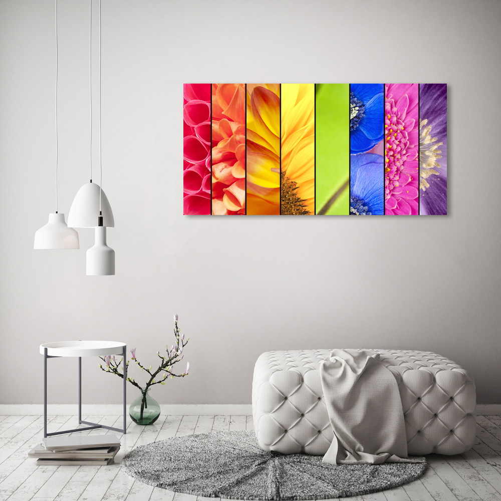 Tableau imprimé sur verre Fleurs colorées